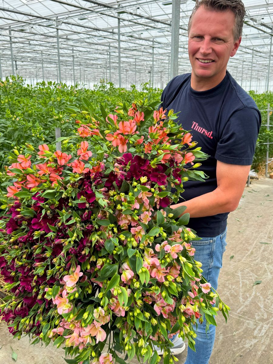 Peter van Delft by Together2Grow with Alstroemeria